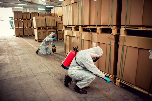 Best Pest Removal Services  in Port Orchard, WA