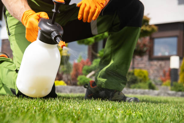 Pest Control Cost in Port Orchard, WA